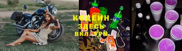 гидра Липки