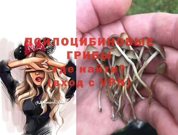 гидра Липки