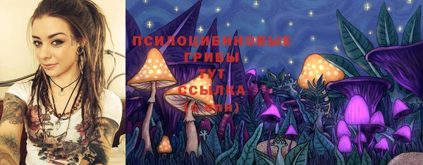 герыч Лиски