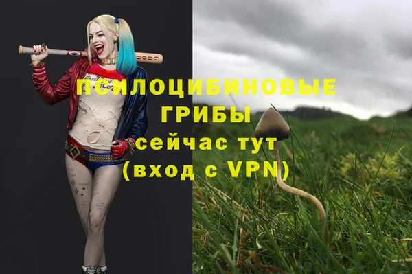 гидра Липки