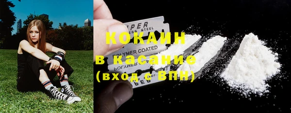 гидра Липки