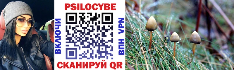 наркошоп  shop наркотические препараты  Галлюциногенные грибы Cubensis  Белая Холуница 