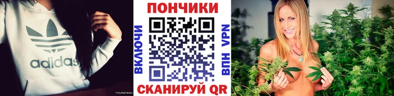 продажа наркотиков  Белая Холуница  Конопля ГИДРОПОН 
