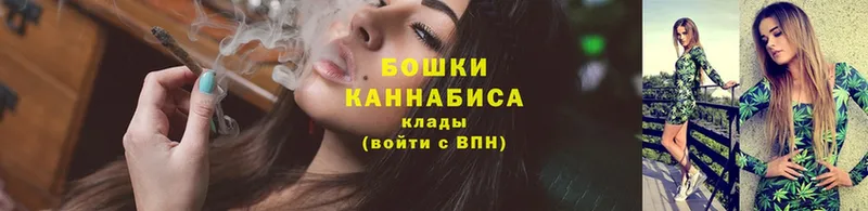 где можно купить наркотик  Белая Холуница  blacksprut ссылки  Канабис White Widow 